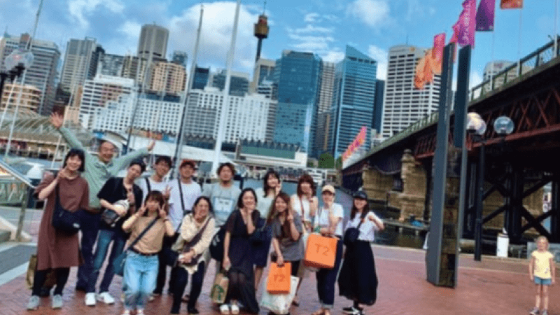 資格取得、国内・海外インターシップ、模擬就活プログラムで、高い就職率を実現！