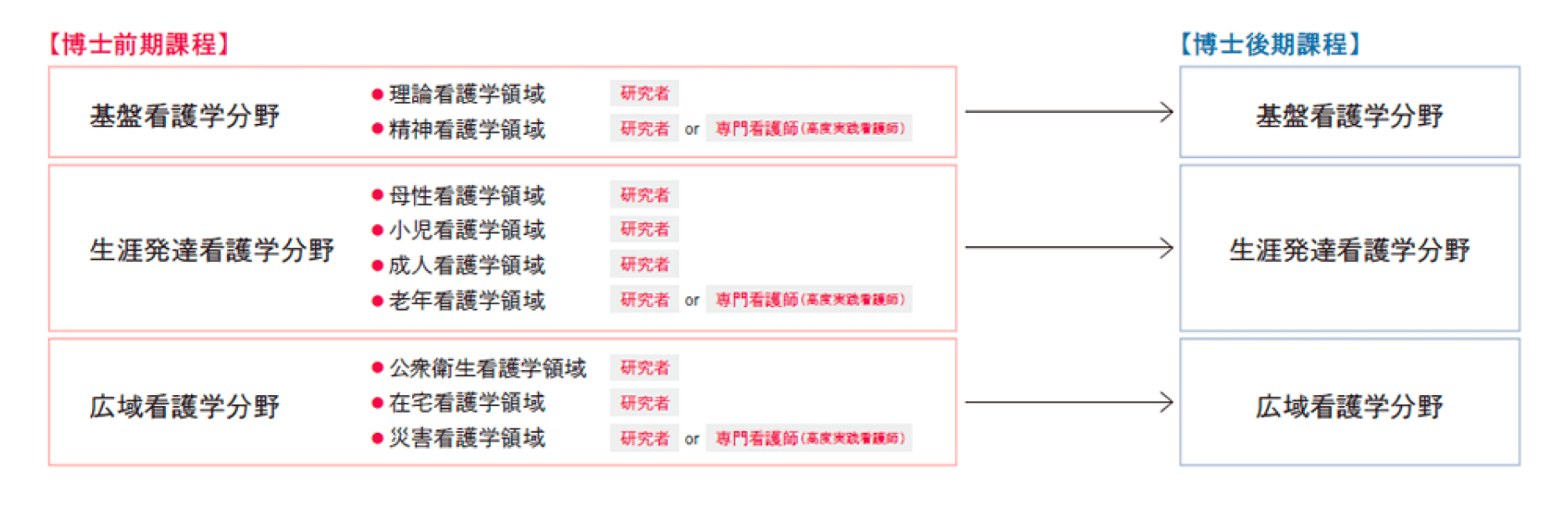 看護学研究科の構成